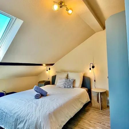 Apartman Belle Etoile - Rooftop & Hammock - Center Mulhouse